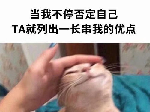 你高考完后做的第一件事情是什么太真实了吧