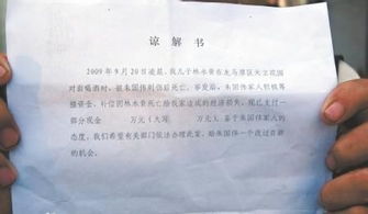 交通事故谅解书
