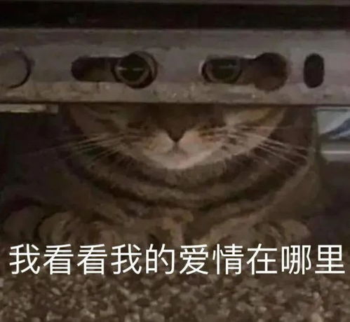 逗笑表情包丨有事吗,小老弟