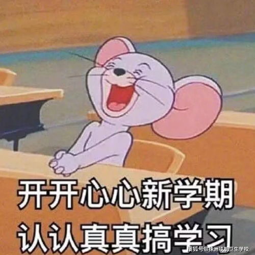 睡啥睡起来嗨表情包扶朕起来