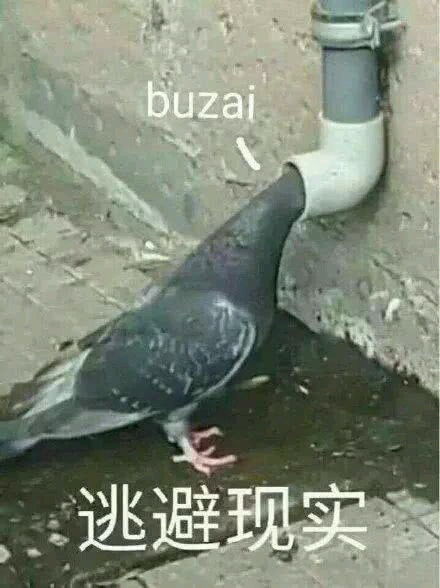 15.那些绝地求生中的枪械原型scarl