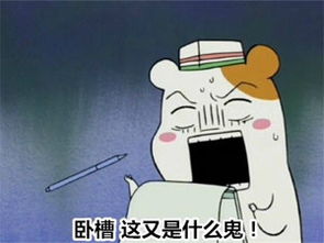 看家鼠表情包下载下载素材下载城