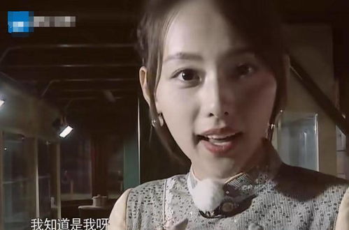 延禧娘娘登跑男,佘诗曼贡献表情包,吴谨言讨喜,张嘉倪被孤立