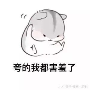 仓鼠表情包早上好吖宝宝