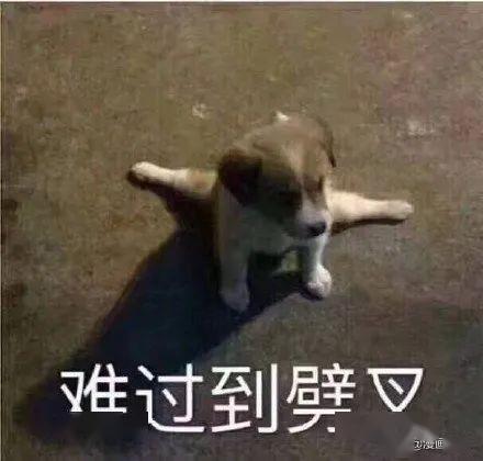 表情包我能有多骄傲,敲敲键盘打嘴泡