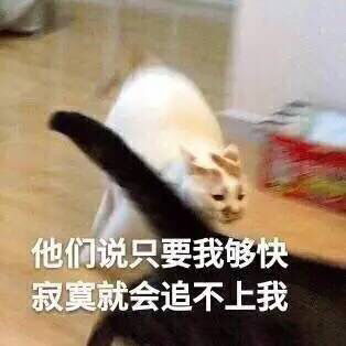 一位用户的相册私家表情包