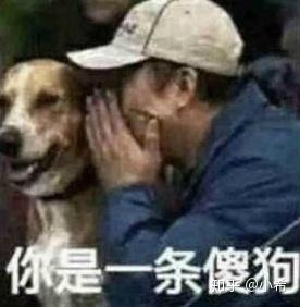 宋威龙有黑料吗
