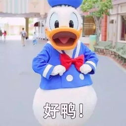 云财学子注意啦,2019普华永道校园招聘云南站震撼来袭