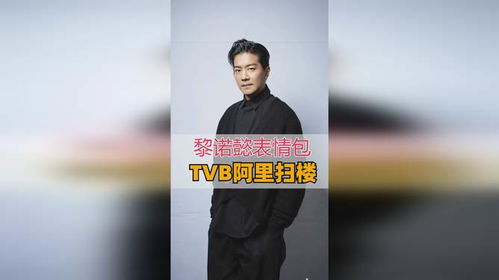 婚后事扫楼趣味十足,黎诺懿现场还原表情包有钱可以为所欲为