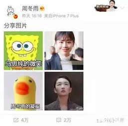 春风十里不如鬼马精灵周冬雨,小黄鸭彻底放飞自我