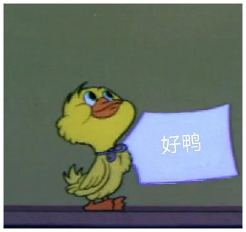 微信聊天常用动画表情撩人