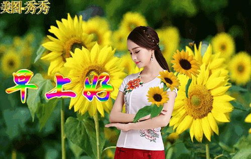 美丽早上好问候祝福动态表情图片,早晨好温馨暖心日常问候语表情包大全