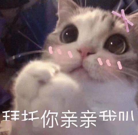 撩汉撩妹表情包这边建议你中意我一下