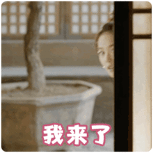 我来啦真人聊天动态表情图