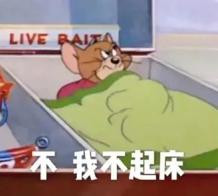 表情包猫和老鼠表情包
