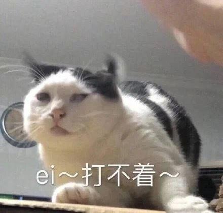 这个表情是啥意思