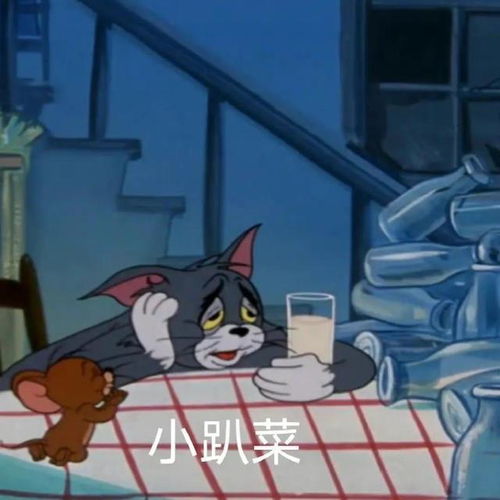 喝酒小趴菜表情包gif