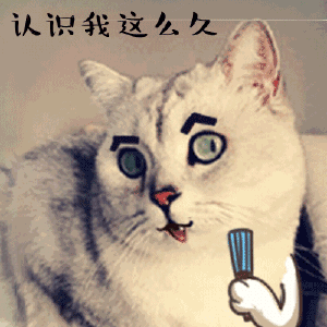 双11热门电商app排行京东淘宝涨幅尴尬