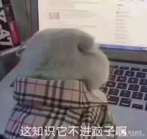 网络真人表情包强制猥亵