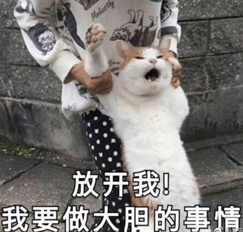 好莱坞的大片只剩下了特效