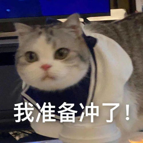 妈,不要再说方便食品不健康了