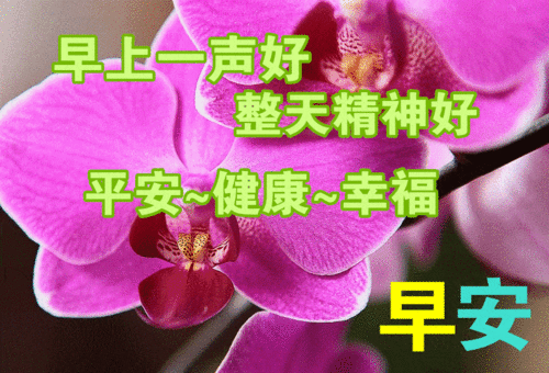 12月22日最暖心的早上好问候语祝福短信,早上好问候语动态图片表情