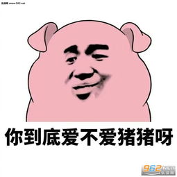 你到底爱不爱猪猪呀表情包好玩吗你到底爱不爱猪猪呀表情包怎么玩用户评论
