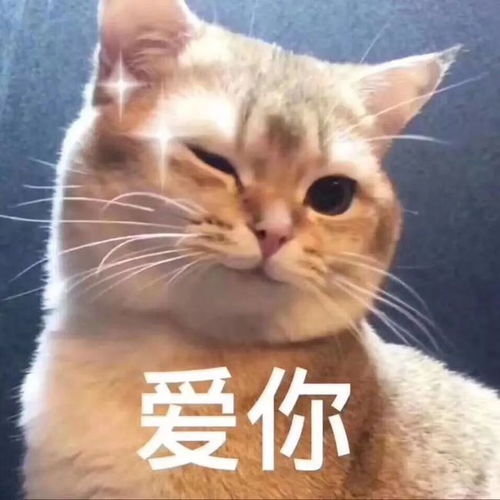 大郎,起床喝药啦丨第109期表情包