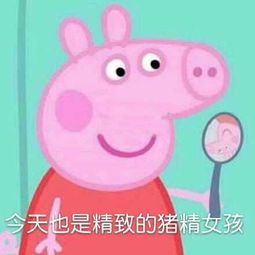 获奖名单公布饭圈学问大,追星如解码