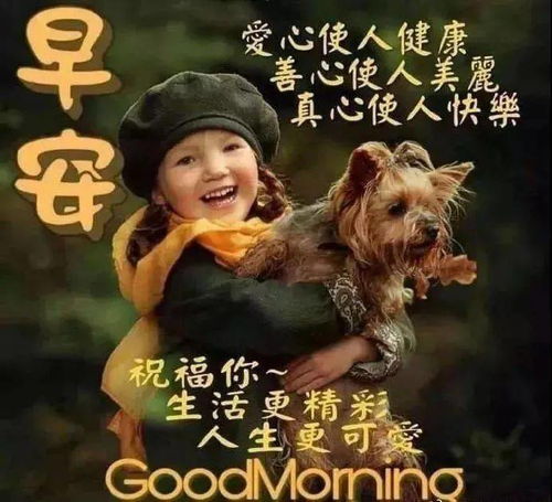 唯美的早安问候祝福语句鲜花美图,非常漂亮的早上好动态鲜花图片