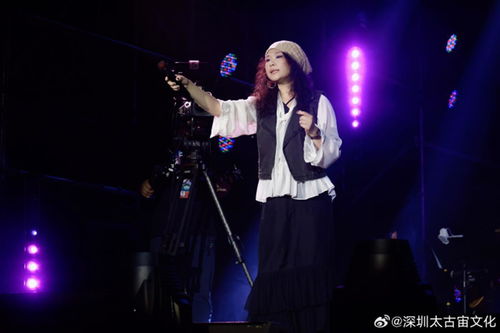 极目锐评许美静演唱会主办方致歉希望有个不负观众期待的处理结果