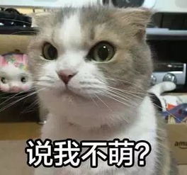 叶檀美元疯狂下跌特朗普打仗中国不怕