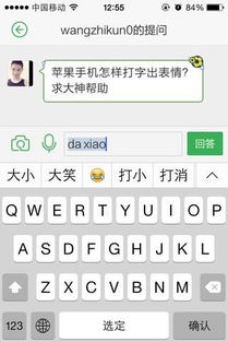 苹果手机怎样打字出表情求大神帮助