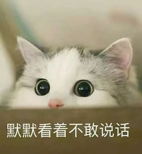 默默看着不说话表情包今天除了皮,又啥都没干,免费帮哄少女睡觉