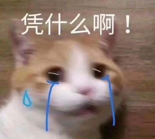 俄区steam被破解,游戏不要钱不要这么做,那会伤害到你自己
