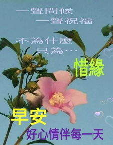 12月微信最新款早安祝福问候图片,早上好祝福表情问候图片带字