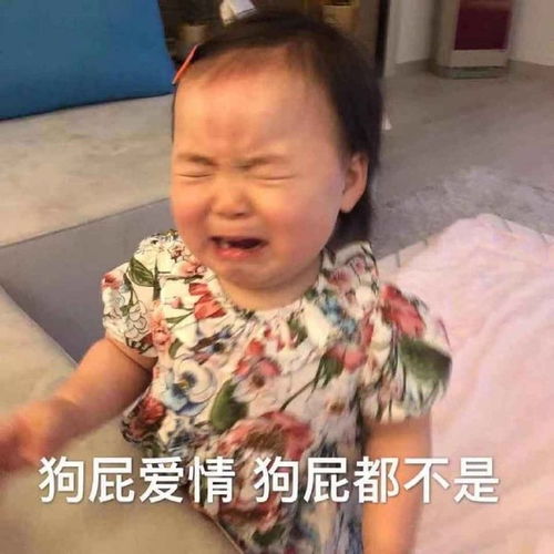 沙雕又可爱的朋友圈文案配表情包