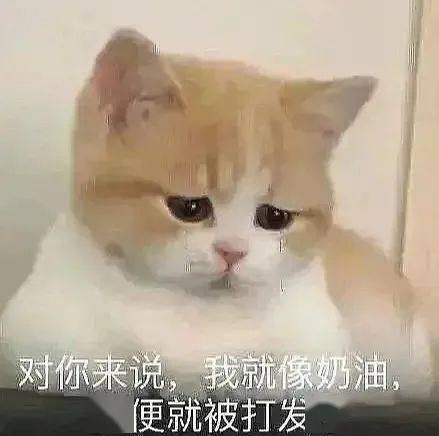情侣万能聊天表情包老子的爱收好