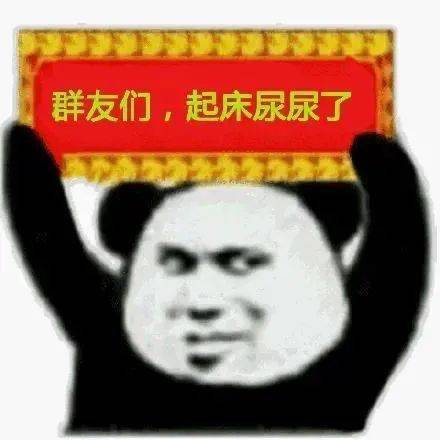 叫猪起床了表情包起床