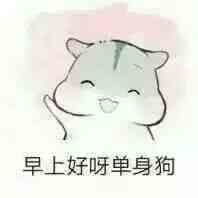 可爱的仓鼠表情包