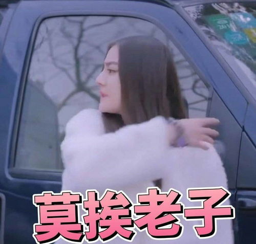 为什么有人被嘲就拉漂亮姐姐下水呢对表情包有...