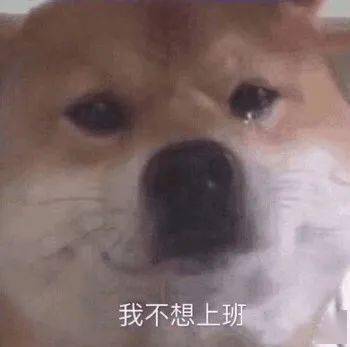 早安,南医打工人