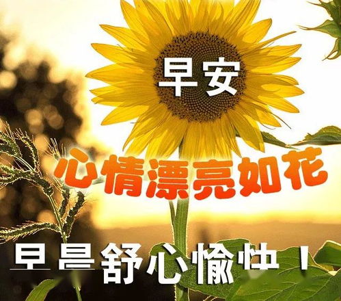 微信问候语早上好表情图片清晨励志问候语及关心话大全