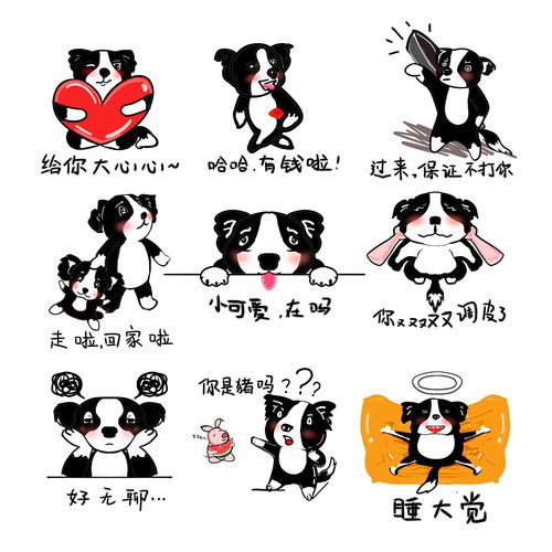 边牧手绘卡通表情包diy定制