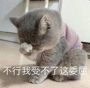 表情包苍天啊,我冤枉