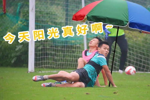 云动态斗图必备,支云狼兵表情包又双叒来啦