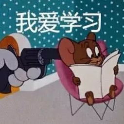 猫和老鼠套图头像壁纸表情包背景图