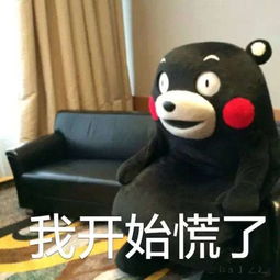 瘦脸不一定非要打瘦脸针,一款瘦脸眉就给你搞定