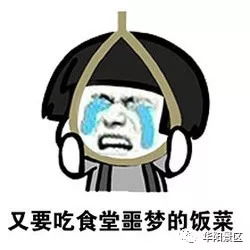 集齐四大国宝,为新学期攒好运