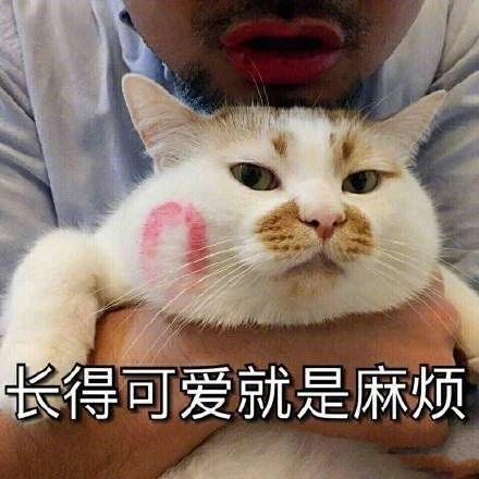 你瞅啥图片搞笑表情包傻笑
